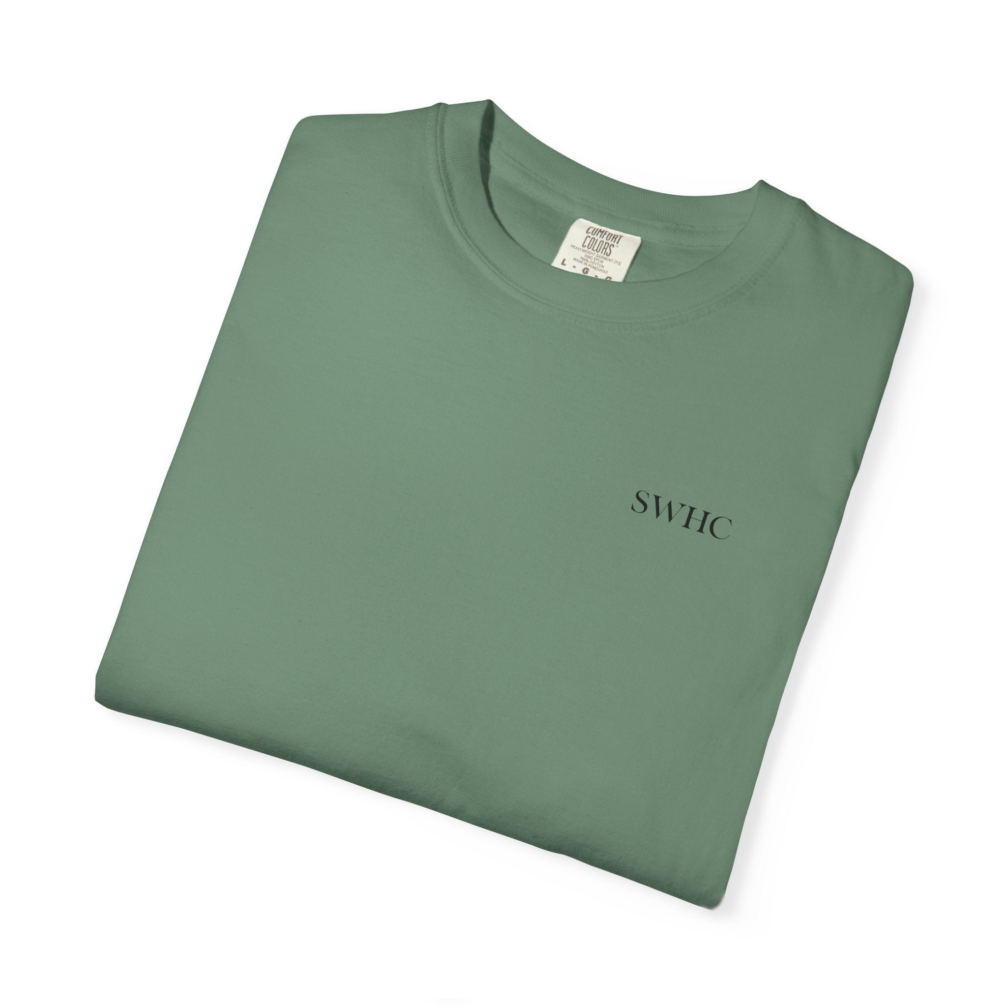 Vintage Flying Ducks Graphic Tee