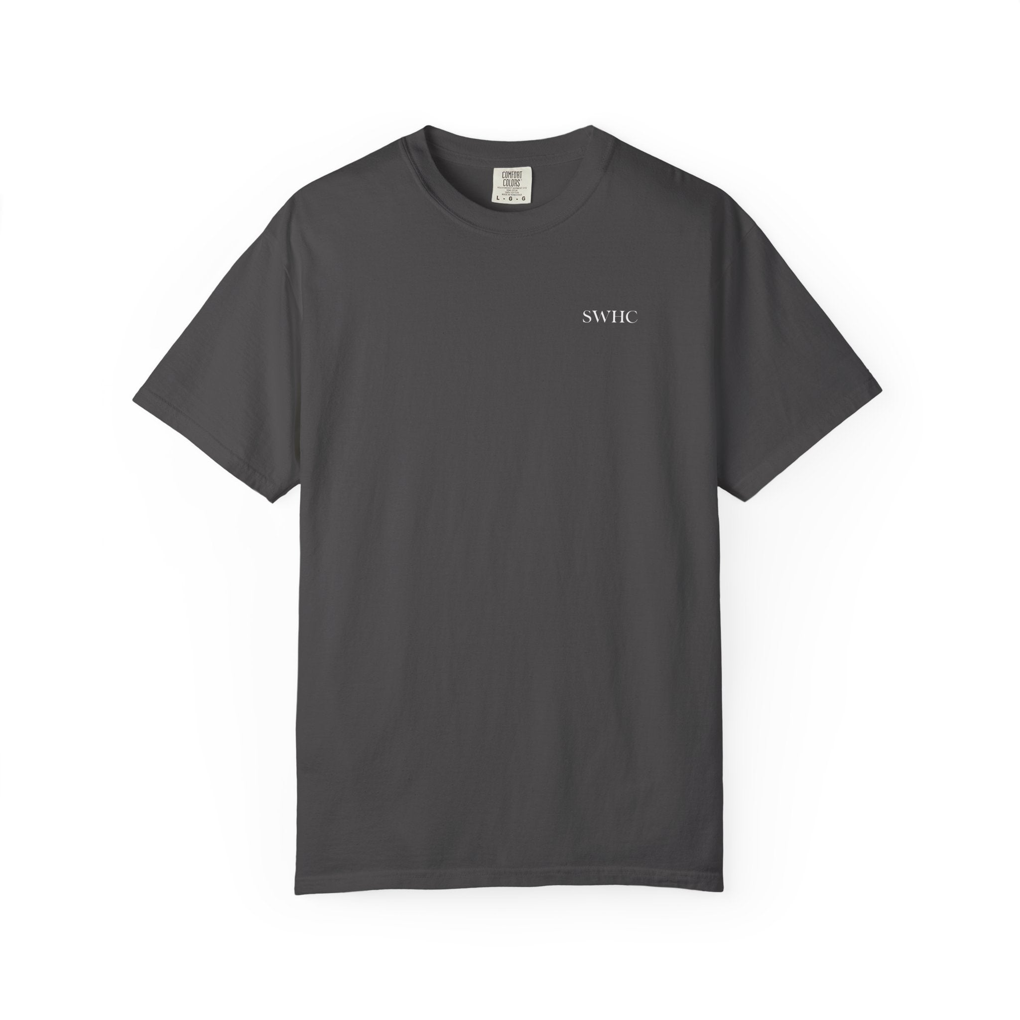 Vintage Flying Ducks Graphic Tee